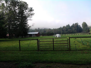Cover photo for Farming, Gardening, and Nature Blogs I Like to Follow