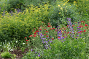 Cover photo for Register Now for a Spring Tour of the Pollinator Paradise Garden!
